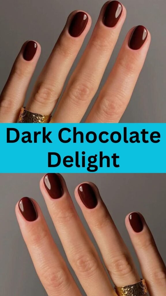 dark-chocolate-delight-cozy-fall-nail-nailstrends.com