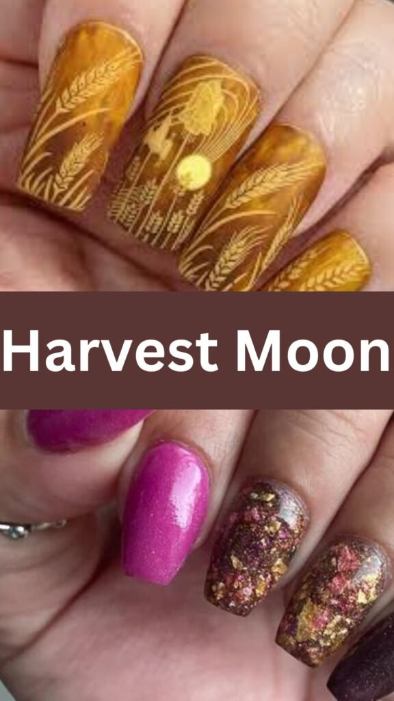 harvest-moon-fake-fall-nails-nailstrends.com