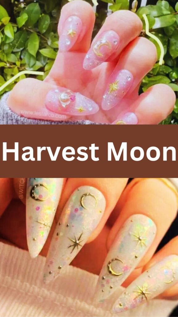 harvest-moon-ombre-fall-manicure-nailstrends.com