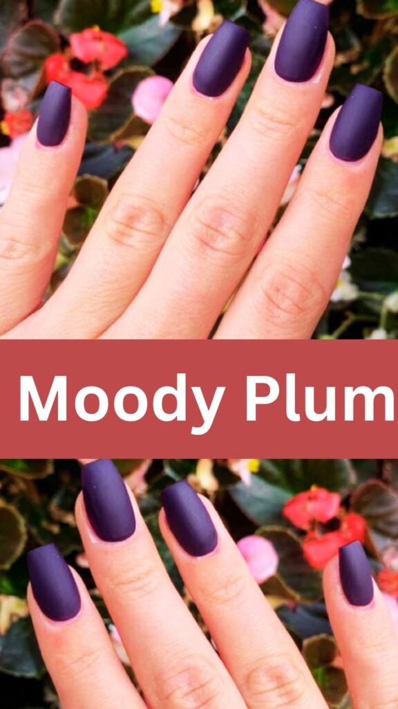 moody-plum-matte-fsll-nail-nailstrends.com